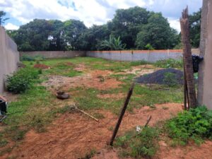 WhatsApp Image 2025-07-14 at 17.54.29 (1)