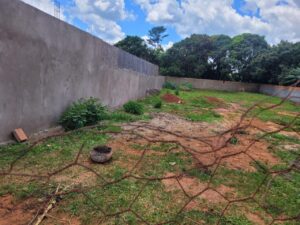 WhatsApp Image 2025-07-14 at 17.54.30