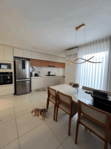 Captura de tela 2025-08-29 112015