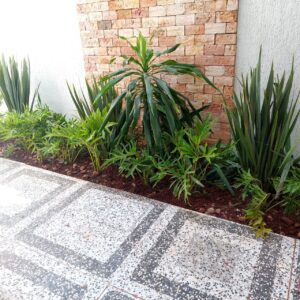 WhatsApp Image 2025-10-14 at 09.13.06 (1)