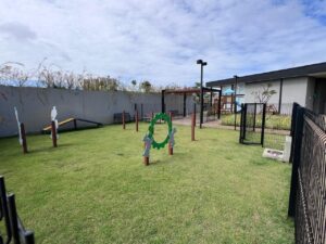 WhatsApp Image 2026-01-20 at 12.46.52 (2)