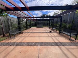 WhatsApp Image 2026-01-20 at 12.46.56