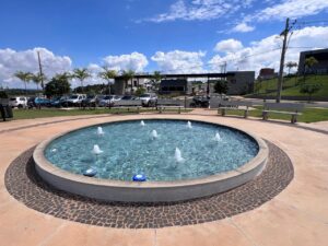 WhatsApp Image 2026-01-20 at 12.46.57